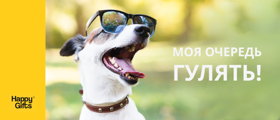 Моя очередь гулять!